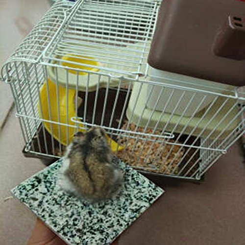 Image of emours Hamster Chiller Cool Granite Stone Small Animal Supplies,3.5 x 3.5 inch