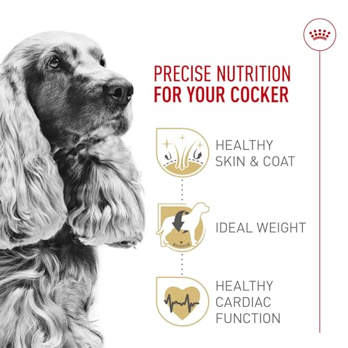 ROYAL CANIN Breed Health Nutrition Cocker Spaniel Adult Dry Dog Food, 25-Pound by Royal Canin