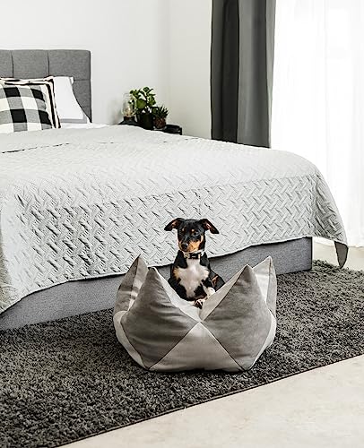 lionto Kronenkissen in Wildlederoptik für Katzen und kleine Hunde, extravagantes Sternenkissen mit abnehmbarem Bezug, 60x35 cm, strapazierfähiges Haustierkissen mit Variabler Füllung, grau/hellgrau