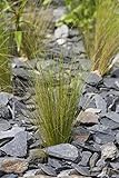 PlantaPro