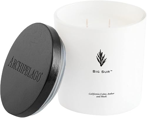 Archipelago Botanicals Big Sur Luxe Candle Cedro California ámbar y almizcle Cera de coco y mellas dobles Quemaduras aprox 100 horas 13 oz Archipelago Botanicals Big Sur Luxe Candle Cedro California ámbar y almizcle Cera de coco y mellas dobles Quemaduras aprox 100 horas 13 oz