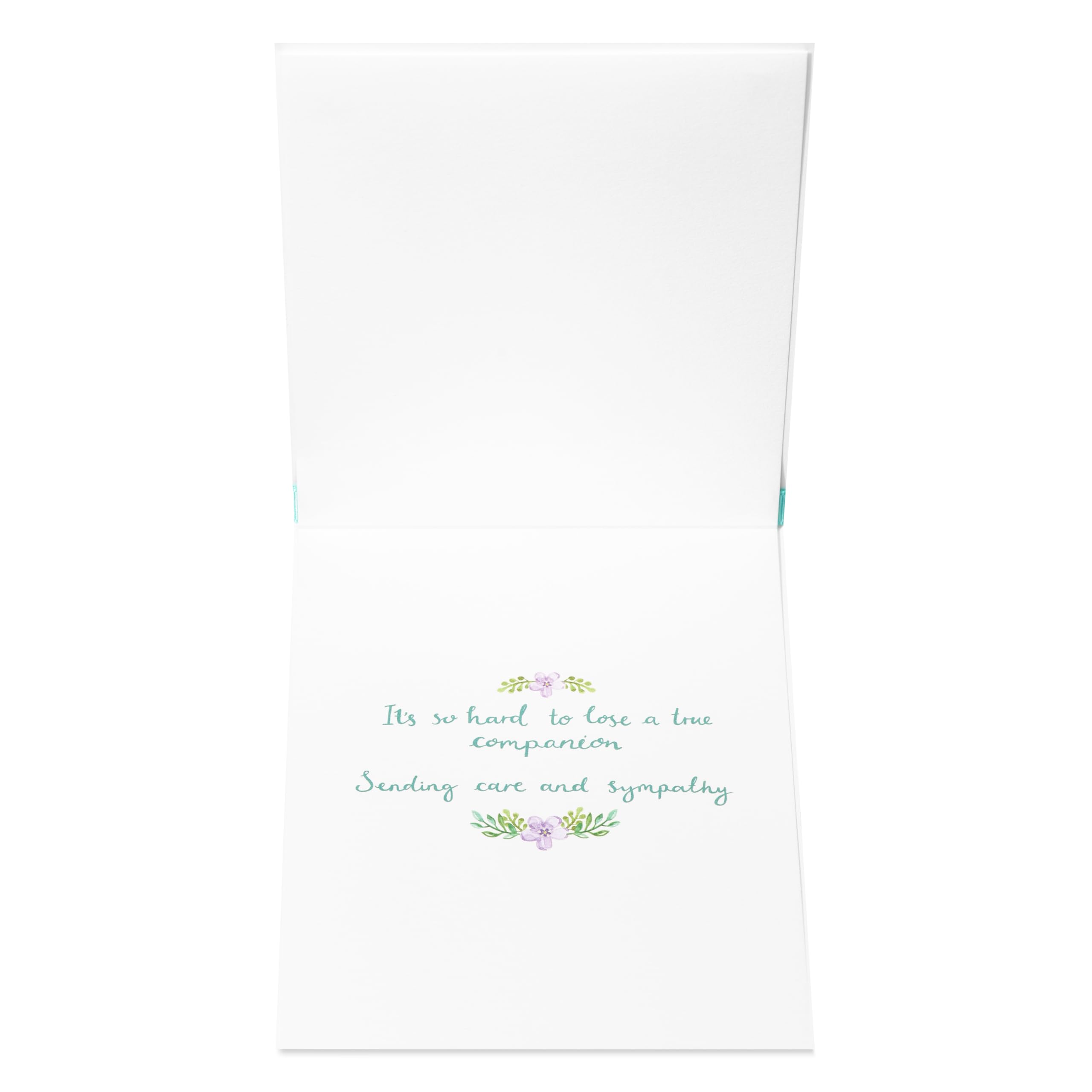 Papyrus Pet Sympathy Card (A True Companion), 1 EA - Image 2