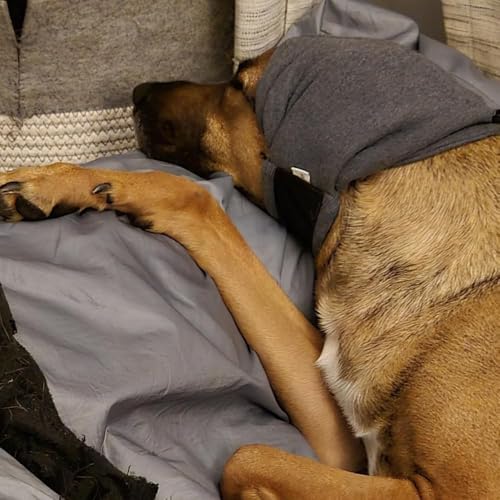 FDEETY Ohrenschutz für Hunde Beruhigende mit Verstellbarem Selbstklebendem Haustier Ohrenklappe Kopfwickel Ohrenschützer Winter Mütze Gehörschutz Hund für Angstlinderung und Beruhigung (M)