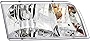 For Ford Crown Victoria Headlight Lamp 1998 1999 2000 2001 2002 2003 2004 2005 2006 2007 2008 2009 2010 2011 Halogen Passenger Right Side