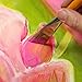 Acrylic Painter's Toolbox