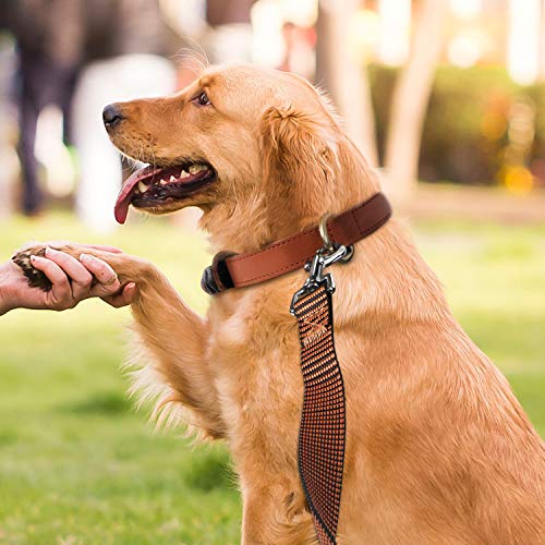 Image of Hi Kiss Dog /Puppy Obedience Recall Training Agility Lead - 15ft 20ft 30ft 50ft 100ft Training Leash - Great for Training, Play, Camping, or Backyard(15ft,Black Orange)
