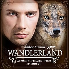 Wandlerland cover art