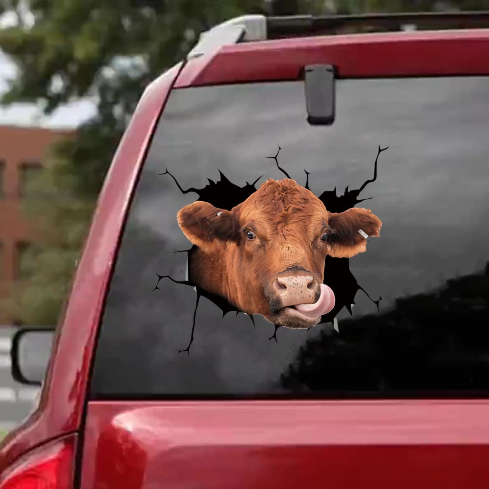 Lot De 5 Autocollants Vache Drôles Pour Voiture - Vinyle Résistant, Brillant, Allemagne