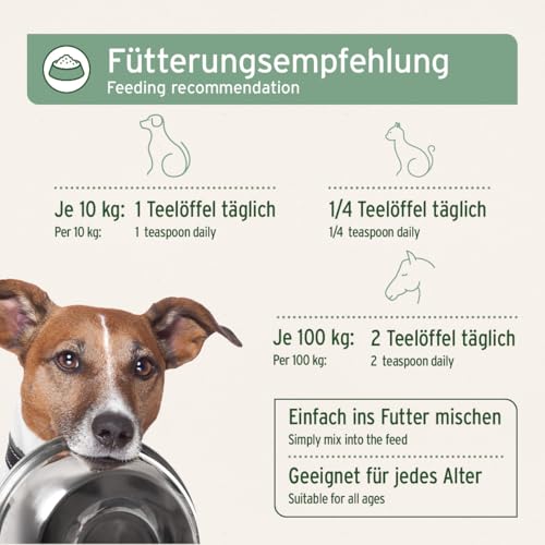 AniForte Natur Lachsöl für Hunde & Katzen 250 ml mit Omega 3 – Norwegisches, natürliches Lachsöl für Haut & Haar, Lachsöl für Hunde & Katzen, ohne künstliche Zusätze