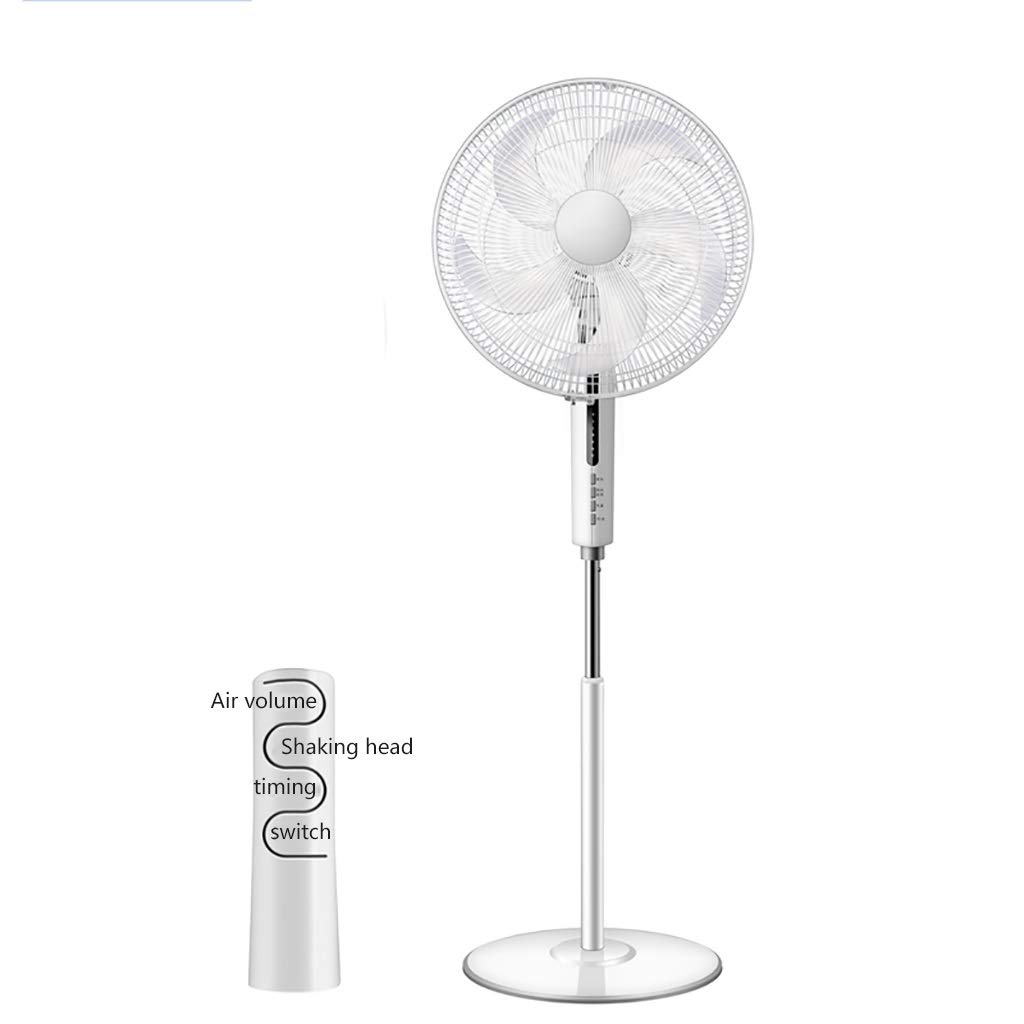 Quiet Pedestal Fan with Remote Control 