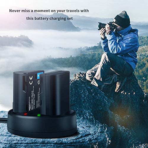 Panasonic Lumix DMW-BLF19E Keenstone 1071004 2 DMW-BLF19E Batterijen 2000mAh 7,2V en USB Dual Lader voor Panasonic Lumix… - Afbeelding 8