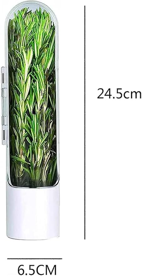 Image of JAYMUKESH & CO. Fresh Herb Keeper for Fridge | Airtight BPA-Free Herb Storage Box, Transparent Container Keeps Coriander, Mint, Cilantro & Parsley Fresh Longer (1 Pc)