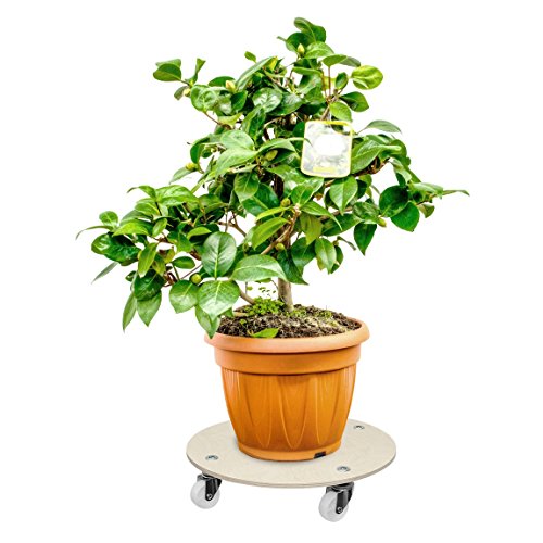 Cemab (5 Pezzi) Carrello Grande Porta Vaso per