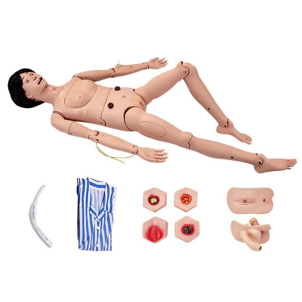 Maniquí de entrenamiento geriátrico de PVC para el cuidado de pacientes con genitales intercambiables y módulos para úlceras por decúbito para la enseñanza de capacitación médica y suministros médic