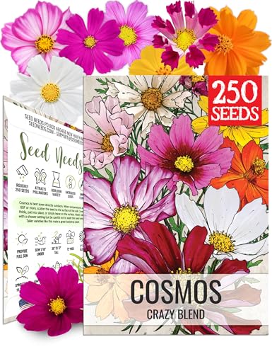 Seed Needs Crazy Cosmos Seeds to Plant a Butterfly Flower Garden 1 Pack