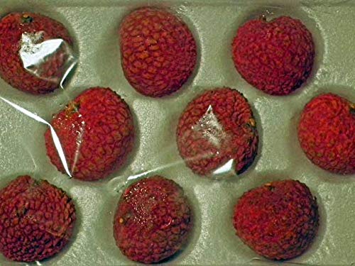 Amazon.co.jp: 楊貴妃も大好物の宮崎県完熟生ライチ2Lサイズ9個化粧