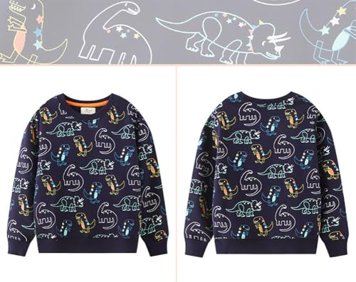 Boys Sweatshirts Casual Sweatshirts Cotton Sweatshirts Long Sleeve T-shirts Crew Neck Cartoon Tops for Boys-5124