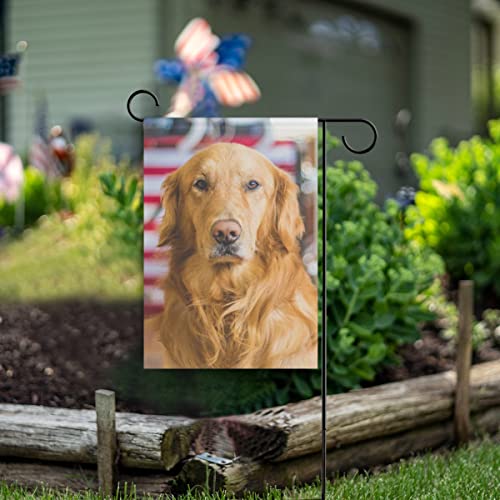 Hokkien Cool Golden Retriever Garden Flag Banner 12 X 18 Inch Decorative Garden Flag For Outdoor Lawn And Garden Home Décor Double-Sided #TOP1