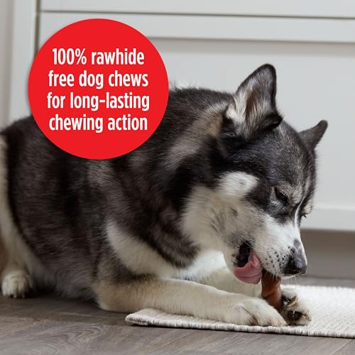 Image of Milk-Bone Flavor Rolls Dog Chews, Beefy Cheesy, Yes Please-y!, 5 Count | 11-oz. bag, Rawhide-free dog chews, Made with real beef