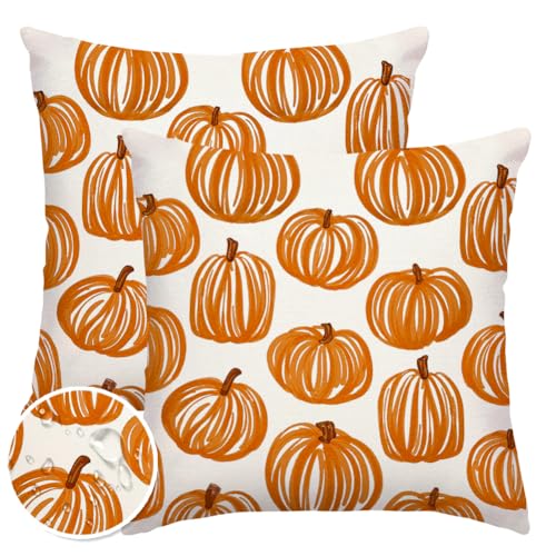 ARGOOFG Fall Outdoor Pillow Covers 18x18 Set of 2 Waterproof,Burnt Orange Pumpkin Decoration Autumn Thanksgiving Harvest Farmhouse Decor for Home Sofa Couch