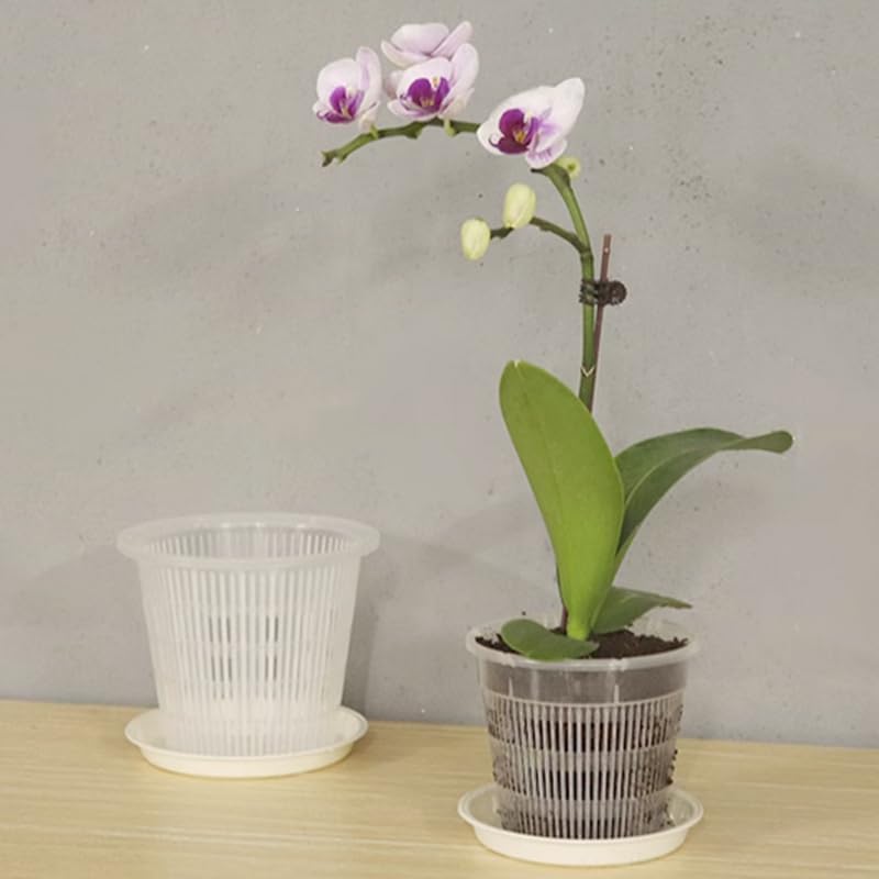 Miniatura 5 de CLoxks Macetas de orquídeas para trasplantar, 9 macetas de orquídeas transparentes con agujeros, 3 tamaños, 6.3 pulgadas, 5.5 pulgadas y 4.3