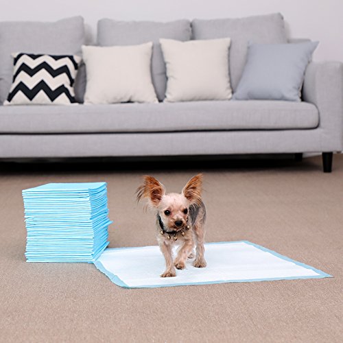 FEANDREA Puppy Pads, Welpen-Unterlage, 60 x 60 cm, 55 Stück, blau-weiß PTD65BU