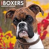 Just Boxers 2017 Wall Calendar (Dog Breed Calendars)