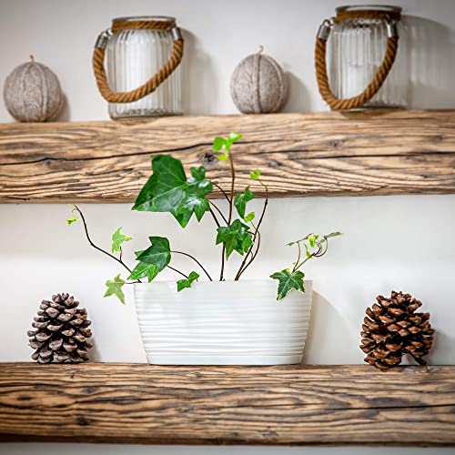 KADAX Blumentopf mit Untersetzer, Blumenkübel, Pflanzkübel für Innen, Leichter Pflanztopf aus Kunststoff, Übertopf für Blumen, Pflanzen… – Ansicht 3