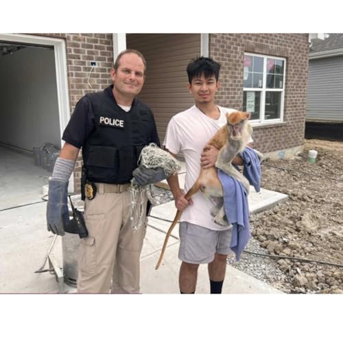 S1.E3: Monkey Business