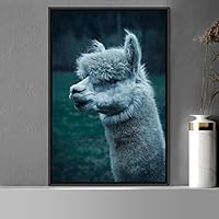 Framed Canvas Wall Art Llama Animals Camels Expressive Farmhouse/Country Living Room Multicolor Photography - 16x24 inches