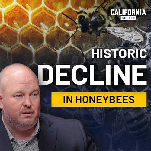 How 62% Hive Loss Is Impacting California Food Supply - And Why It Matters | Ryan Burris