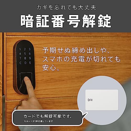 Amazon.co.jp: Qrio: 2点セット商品