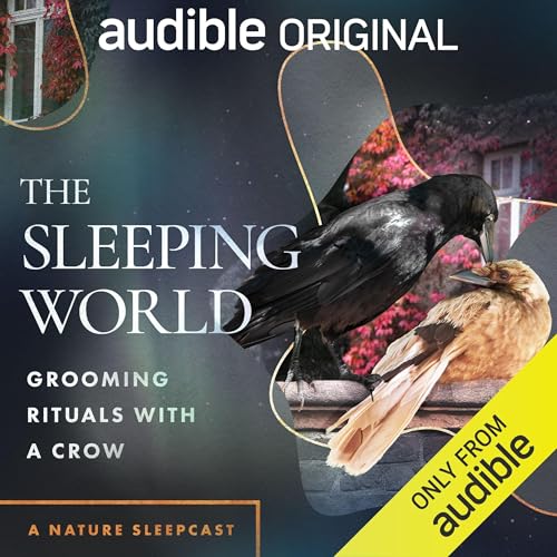 The Sleeping World: Grooming Rituals with a Crow by Mumble Media, Audible Sleep episode artwork