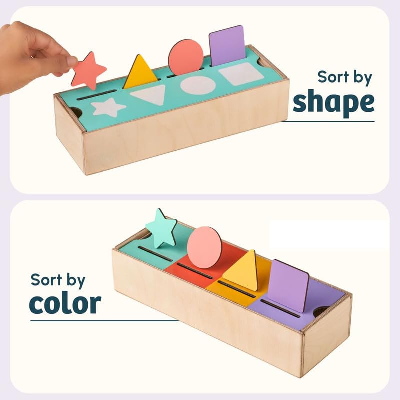 Image of Curious Cub Color & Shape Sorter Toys for Kids 1-3 Yrs|Montessori Wooden Toy for 1 Year Old|Puzzle Game for Preschool Learning|Color Sorting Toys for Kids|Montessori Toy's for 2 Year| Birthday Gift