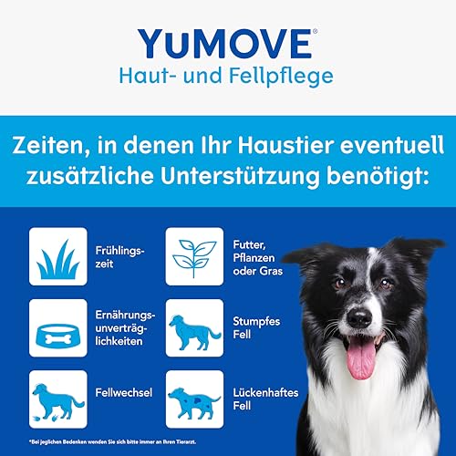 YuMOVE Haut Und Fell Hund Öl 500 ml - Für Showhunde & alle Rassen - Fördert glänzendes Fell und gesunde Haut bei Hunden - Mit Omega-3 und -6 - Kaltgepresste Öle für natürliche Hautpflege bei Hunden