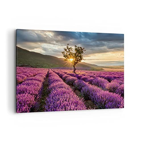 Impression sur toile - Image sur Toile - Un élément - lavande montagnes champ - 100x70cm - Decoration murale - Décoration - Encadrée - Tableau Mural - Tableaux pour la mur - Moderne - AA100x70-3645