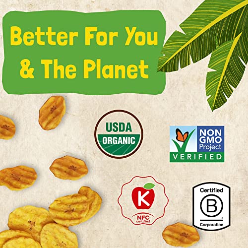 Barnana - Organic Plantain Chips, Acapulco Lime, Healthy Snack Made With 100% Coconut Oil, Non-GMO, Potato Chip Alternative, Zero Sugar, Paleo, Grain-Free Chips, Vegan, USDA Organic (5 oz, 6-Pack)