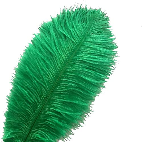 Plumes d'autruche pour vêtements lot de 50 pièces décoration 25-30cm