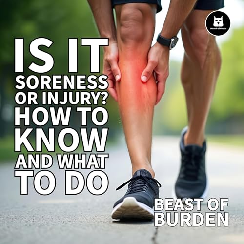 『Is It Soreness or Injury? How to Know and What to Do』のカバーアート