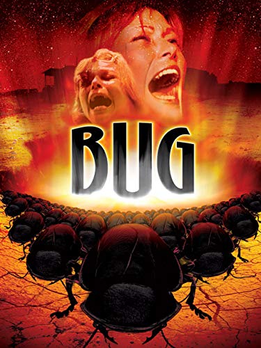 Les insectes de feu