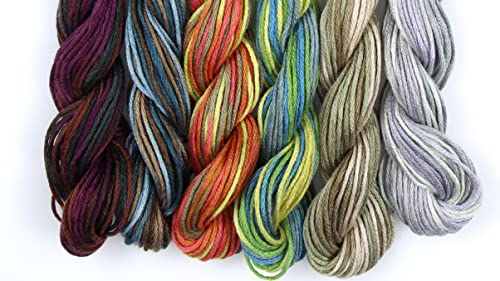Image of KCS Big skeins of 25 Meters Size 25 Color Variegated Cross Stitch Stranded Threads,6 skeins,07