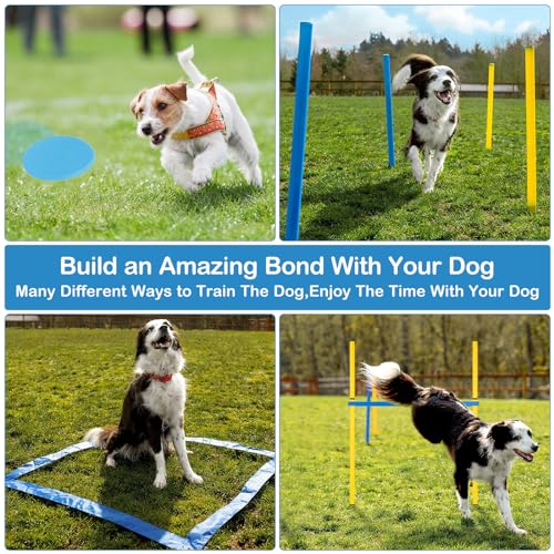 YGORTECH Agility Set Hunde Groß, Hunde Parcour Reaktionstraining für Hundetraining Zubehör mit 300CM Hundetunnel, Agility Hürden, Slalomstangen,Springring Hunde Agility Set