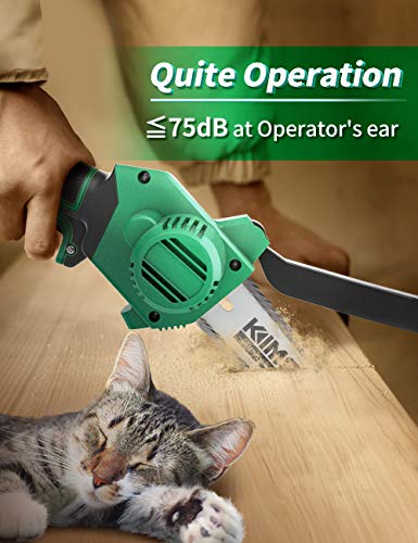 https://m.media-amazon.com/images/I/51L09+OYdPL._SL500_.jpg