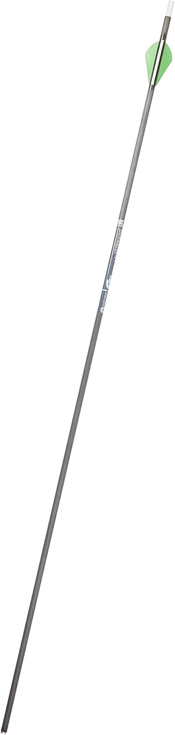 Gold Tip Ultralight Entrada 400 Arrows with 2-Inch HP Vanes (Pack of 12)