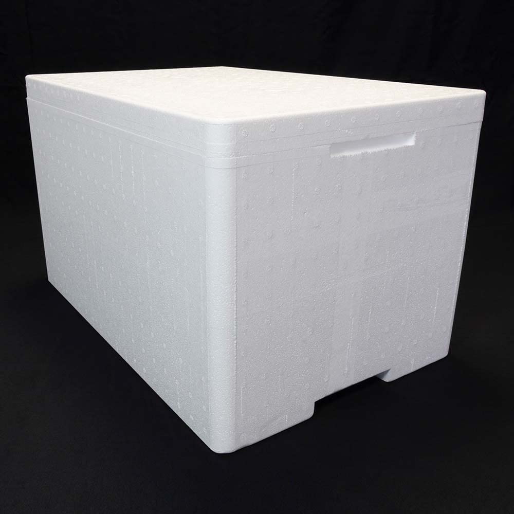 Terra Exotica Styroporbox Pro/Thermobox - 50,3 Liter - 59,5 x 39,5 x 36,5 cm/Wandstärke 3,5 cm - Styrobox