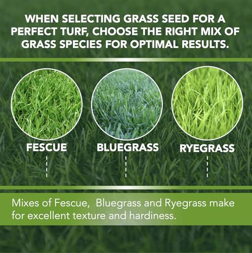 Athletic Field Grass Seed Lawn Seed (50 lb)