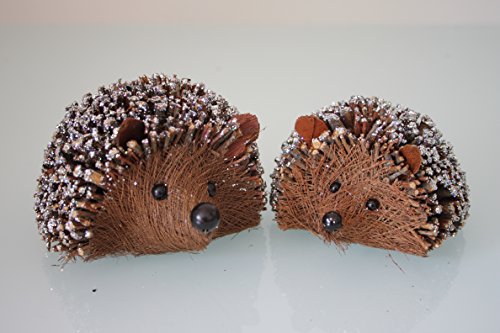 cute decorazioni Set di due Ramoscello RICCIO decorazioni natalizie da Gisela Graham