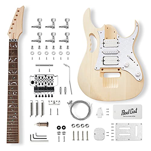 Electric Guitar Building The 16 best products compared www