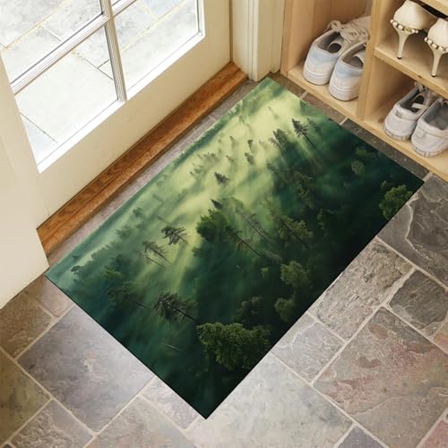 Tapis Entrée Antidérapant Absorbant 80X120 cm - Paillasson Grand Format Résistant