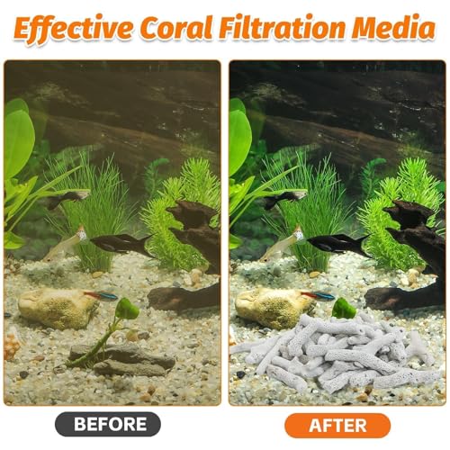 Image of PINVNBY 2.2lb /1000g Crushed Coral for Freshwater Aquarium Fish Tank Crushed Coral Filter for Aquarium with Mesh Bag Reusable Filter Media to Raise pH